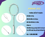 PRIME 012