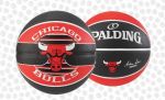 Chicago Bulls