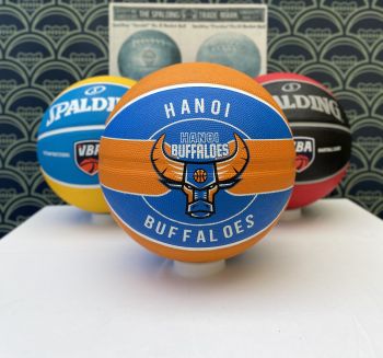 VBA Ha Noi Buffaloes